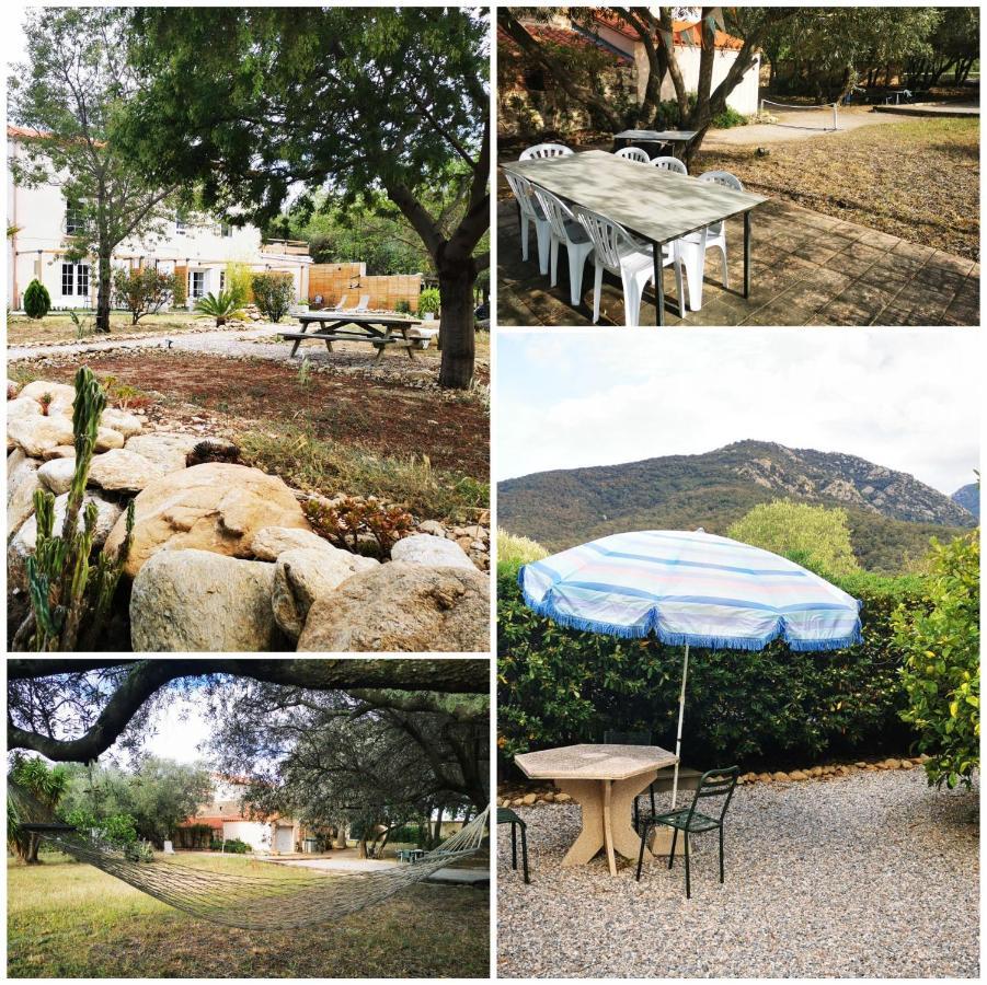 Mas Paret Studio Plein Sud - Parc 1 Ha Au Calme Argeles-sur-Mer Exterior photo